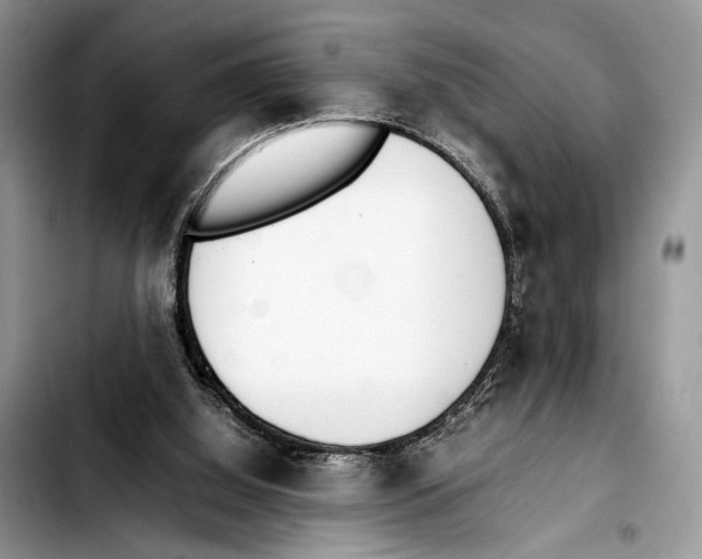 X0000103430060200810101051