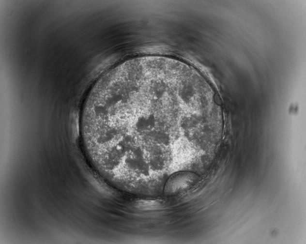X0000103430061200810101051