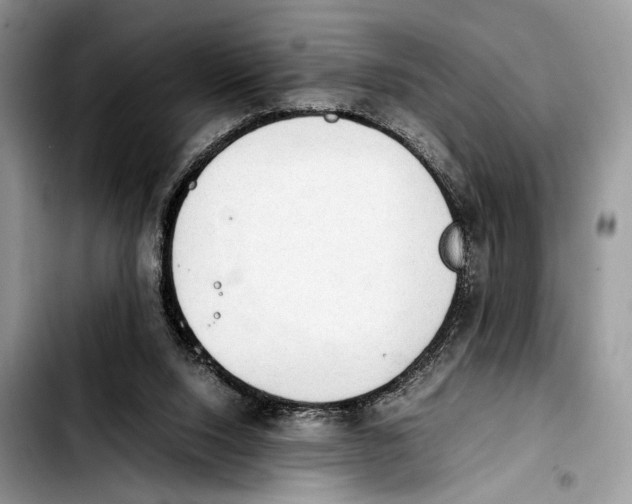 X0000103430064200810101052
