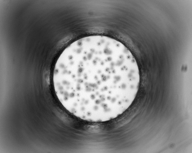 X0000103430068200810101052