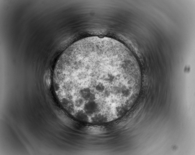 X0000103430069200810101052
