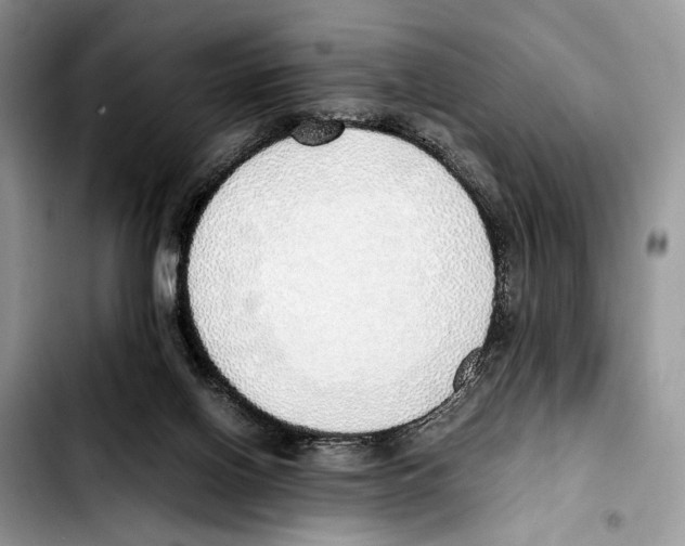 X0000103430070200810101052