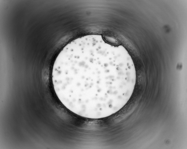 X0000103430072200810101052