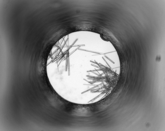 X0000103430073200810101052