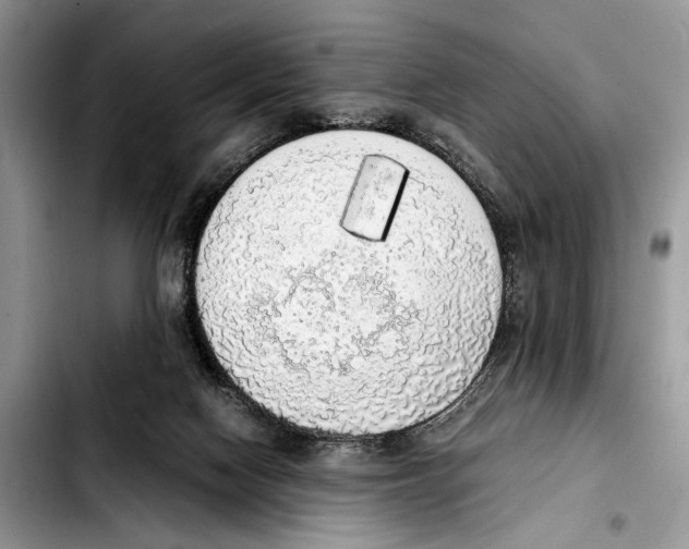 X0000103430074200810101052