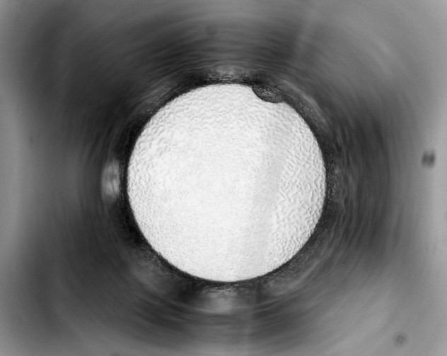 X0000103430075200810101052