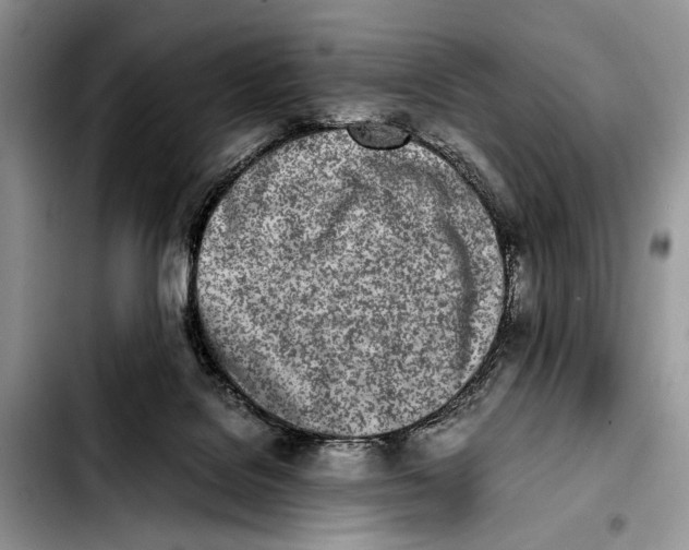 X0000103430076200810101052