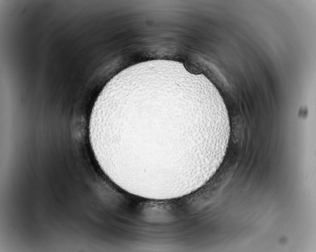 X0000103430077200810101052