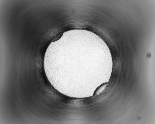 X0000103430078200810101052