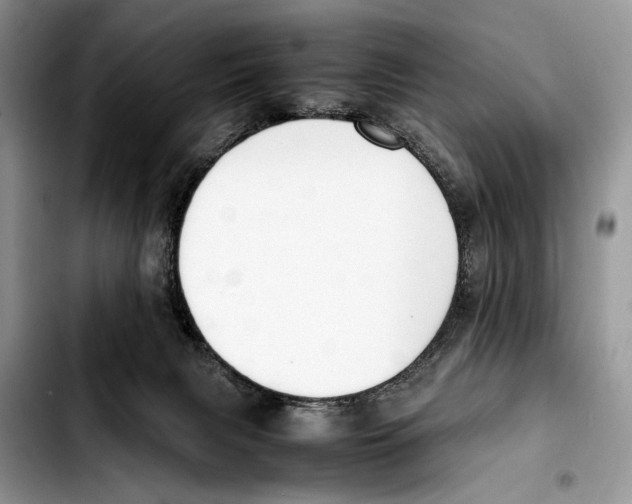 X0000103430079200810101052