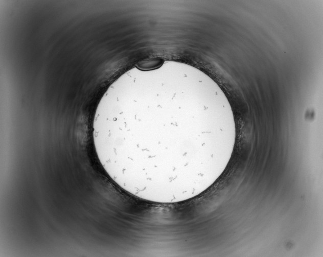 X0000103430080200810101052