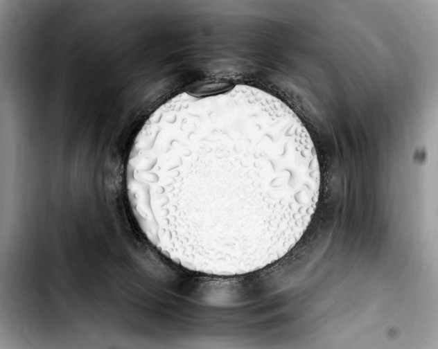 X0000103430081200810101052