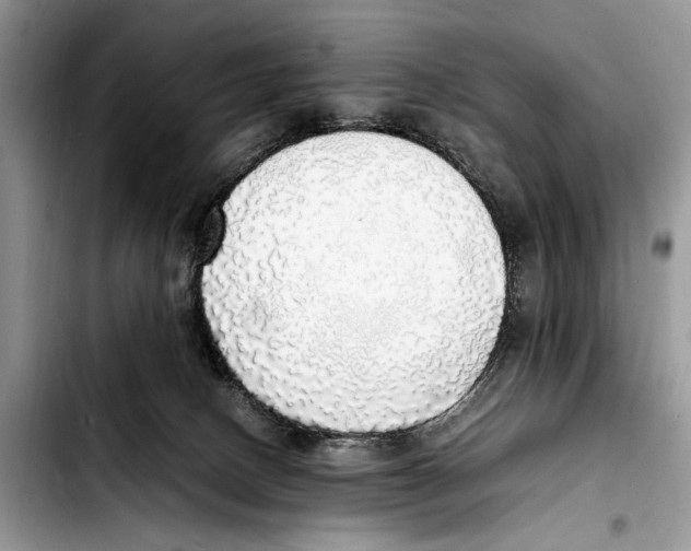 X0000103430082200810101052