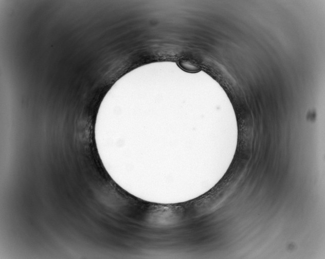 X0000103430083200810101052