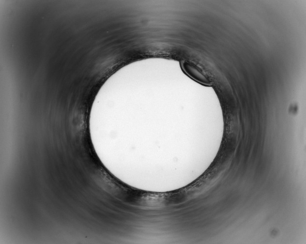 X0000103430084200810101052