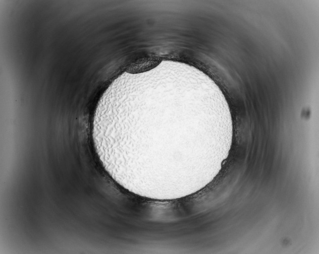 X0000103430085200810101052
