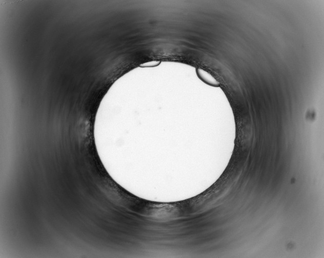X0000103430087200810101052
