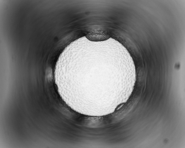 X0000103430089200810101052