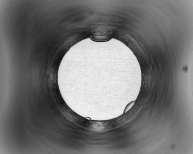 X0000103430091200810101052