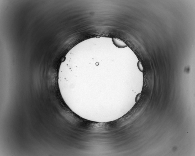 X0000103430092200810101052