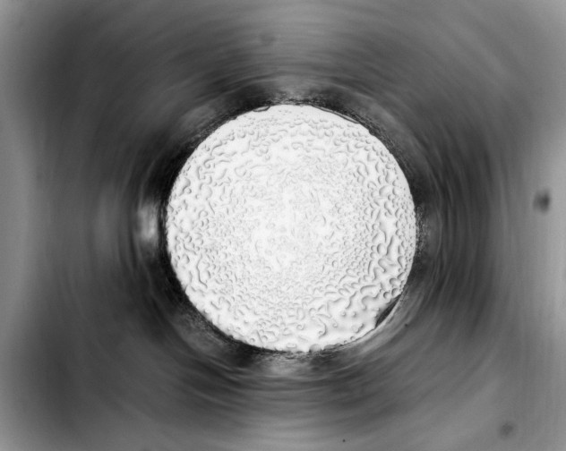 X0000103430094200810101052