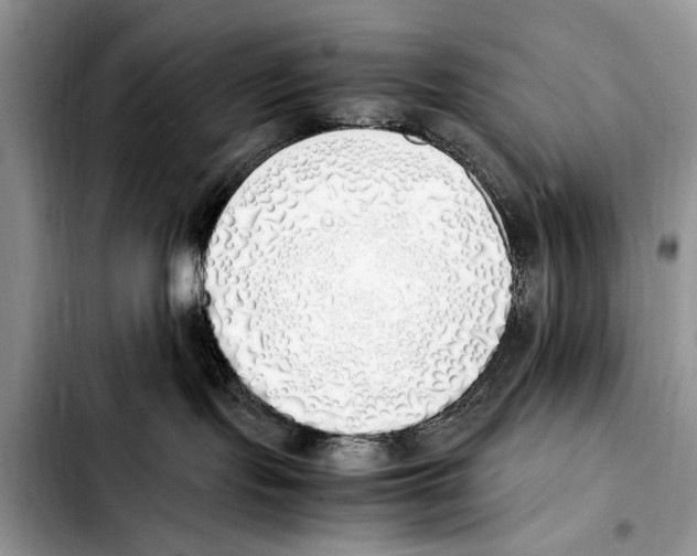 X0000103430095200810101052
