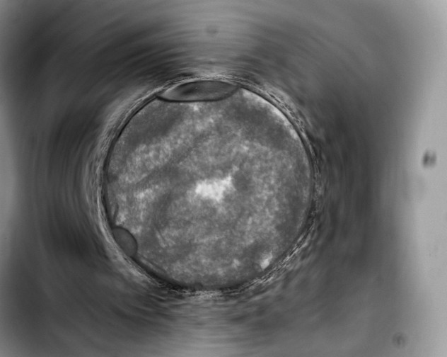 X0000103430097200810101051