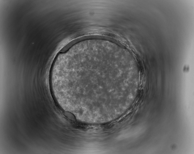X0000103430099200810101051