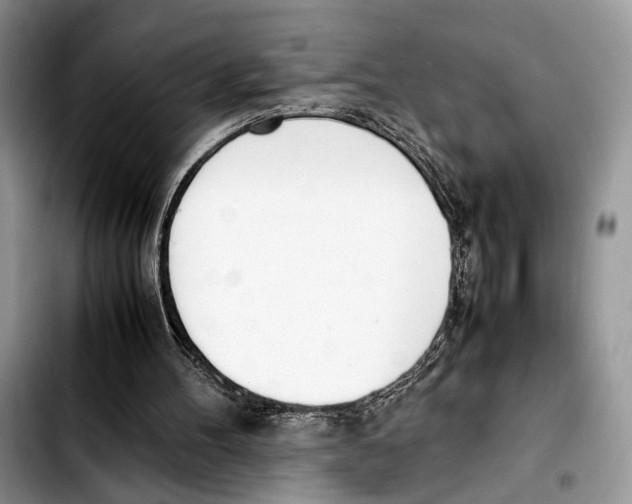 X0000103430100200810101051