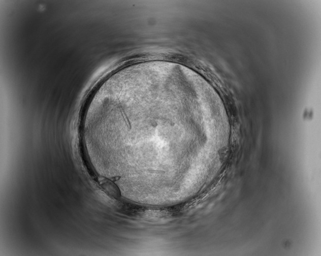 X0000103430101200810101051