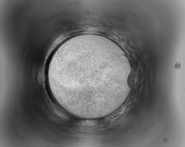 X0000103430102200810101051