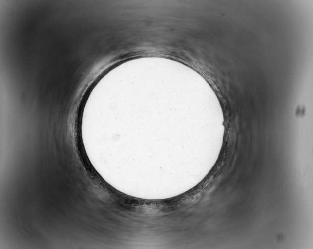 X0000103430103200810101051