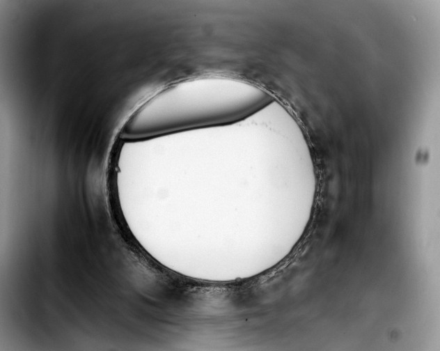 X0000103430104200810101051