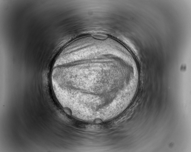 X0000103430105200810101051