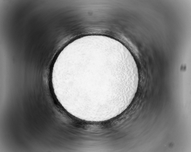 X0000103430107200810101051