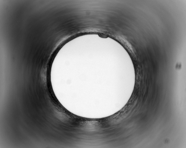 X0000103430108200810101051