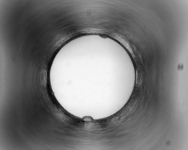 X0000103430109200810101051