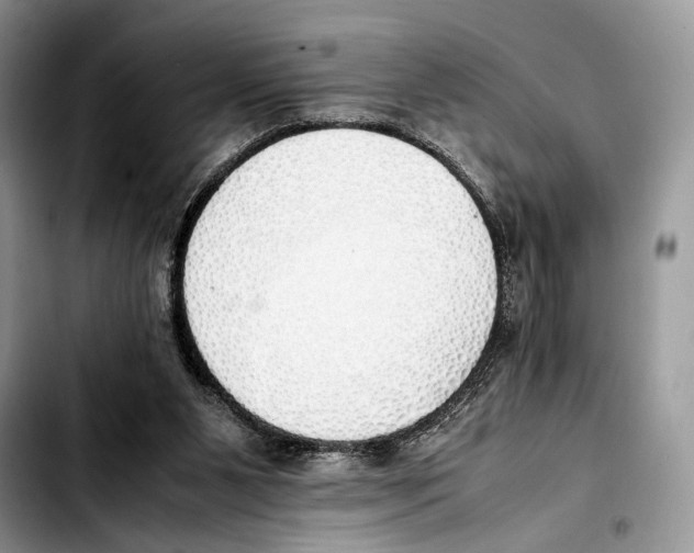 X0000103430111200810101051