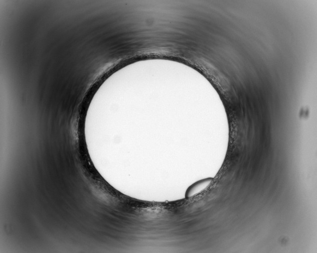 X0000103430112200810101051