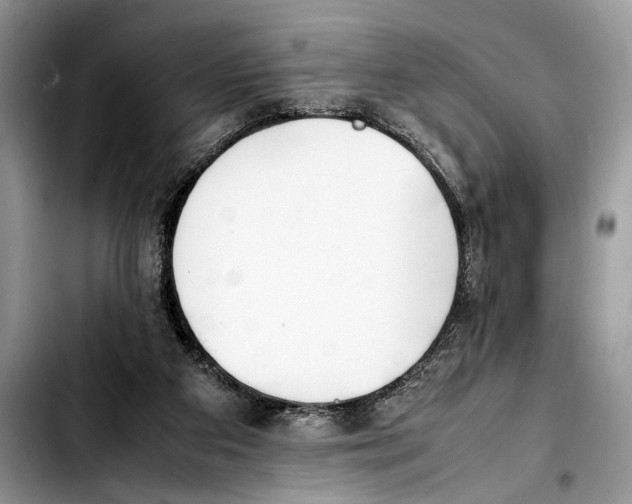 X0000103430113200810101051