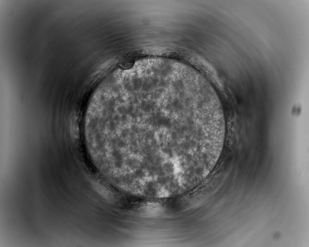 X0000103430114200810101051