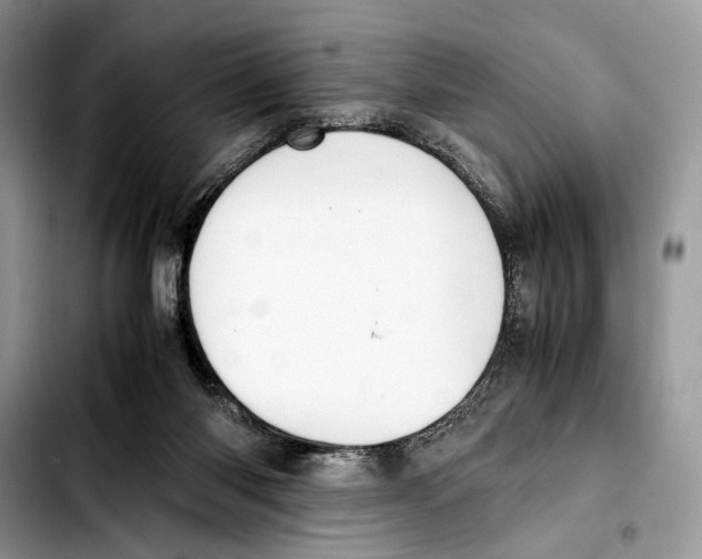 X0000103430118200810101051