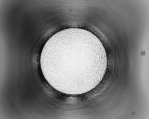 X0000103430119200810101051