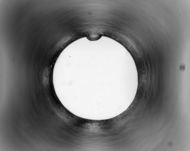 X0000103430120200810101051