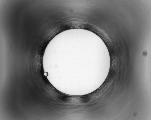 X0000103430121200810101051