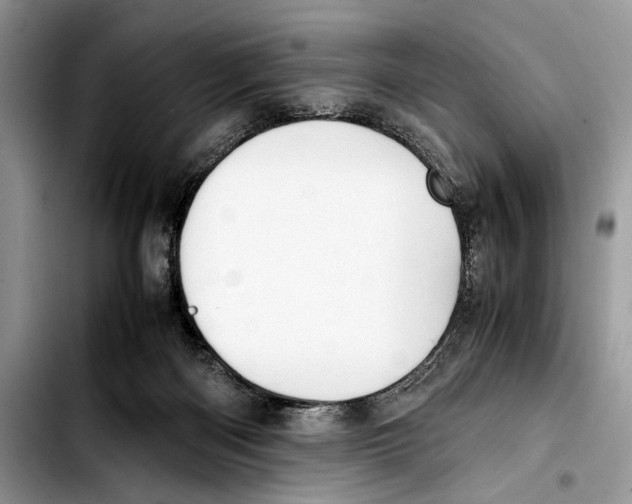 X0000103430122200810101051