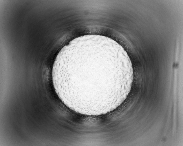 X0000103430123200810101051