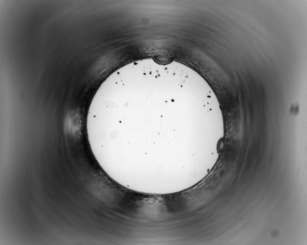 X0000103430124200810101051