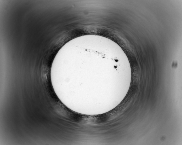 X0000103430125200810101051