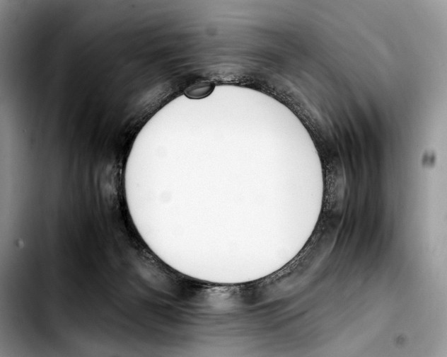 X0000103430126200810101051